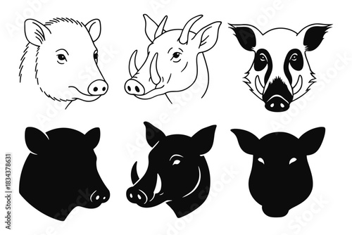 Wild boar and peccary head silhouettes and line art collection