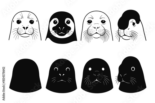 Black and white seal and sea lion faces in silhouette and outline styles