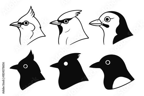 Set of bird head silhouettes and line art: cardinal, penguin, jay