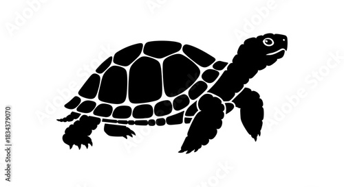 Silhouette of tortoise with detailed shell and legs in black and white art style