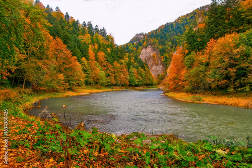 Fototapeta Naklejka Na Ścianę i Meble -  Dunajec river gorge in Pieniny National Park., Poland at autumn day. Dunajec river - popular tourist spot for boat rafting in Poland