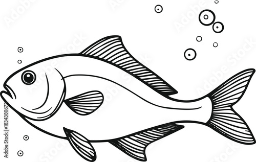 Minimal underwater scene featuring a lone fish with delicate contour lines and a few bubbles implied with tiny circles