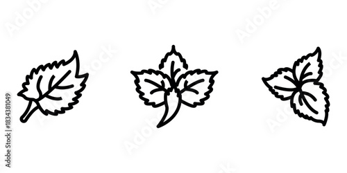 perilla outline or line icon design bundle.