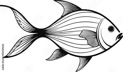  Abstract fish design where the body is represented by a single curved ribbon line and the tail by subtle angular strokes