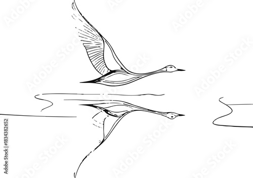  Thin line illustration of a bird gliding above water, using reflective shapes and open minimal space 1