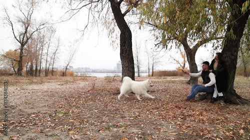 Wallpaper Mural A cute Samoyed runs towards a young couple on a walk along the river bank Torontodigital.ca