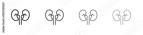 Kidneys icon, Set vector logo design templates,