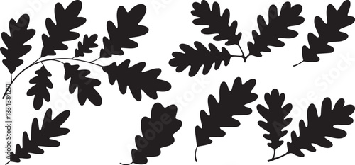 oak leaves silhouette set, isolated on white background vector illustration