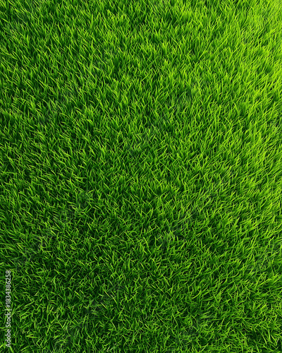 Wallpaper Mural Fresh natural grass texture in top view, lush green lawn background for eco banners, landscape design and spring nature concepts Torontodigital.ca