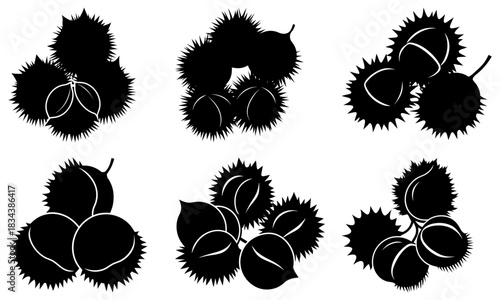 Autumn's bounty: Buckthorn clusters, a symbol of fall's abundance and nature's gifts, perfect for seasonal designs and rustic themes