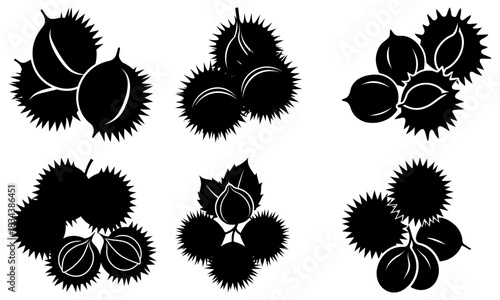 Stunning silhouette of buckeye nuts, perfect for autumn designs, nature-inspired projects, and elegant seasonal graphics with a modern, clean aesthetic