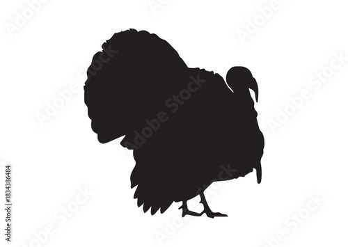 Wild Turkey Strutting Silhouette Vector