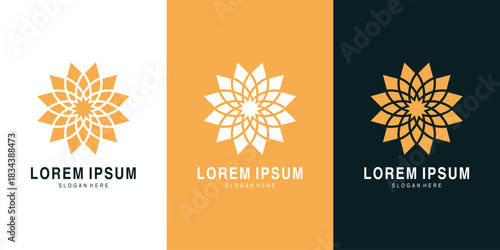 Elegant geometric mandala star logo design