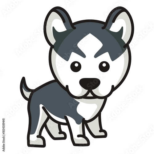 Cute siberian husky colored