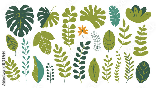 Tropical botanical leaf collection with vibrant hand-drawn foliage elements and jungle greenery for natural decorative design