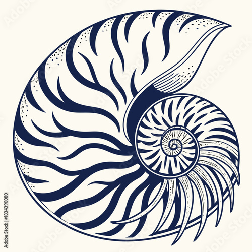 Nautilus shell illustration in dark blue ink on cream background ocean marine