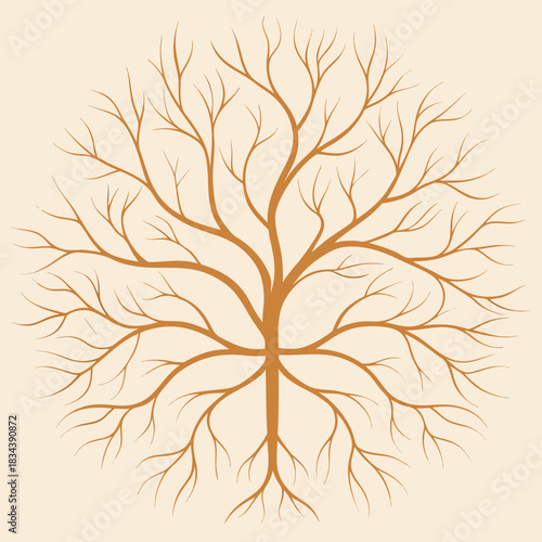 Stylized bare tree branches forming a circular symmetrical pattern on a light background vector illustration