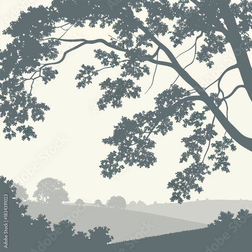 Stylized Silhouette of Oak Tree Branches Over Rolling Hills Keywords: nature, tree, silhouette, landscape, rolling hills, branches, leaves