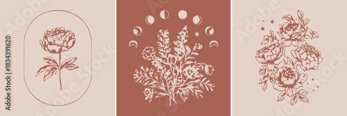 Botanical line art illustration set with elegant floral drawings celestial moon phases and vintage hand-drawn flower designs