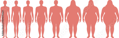Detailed vector illustration presenting a range of female body shapes from slim to plus size, ideal for health education, fashion design, anatomy references, and infographic projects.