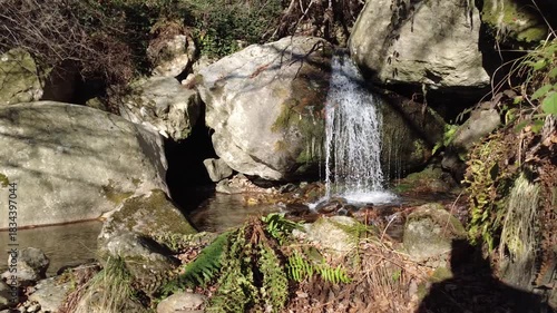 L'acqua scorre limpida tra le rocce del ruscello, formando un piccolo laghetto.