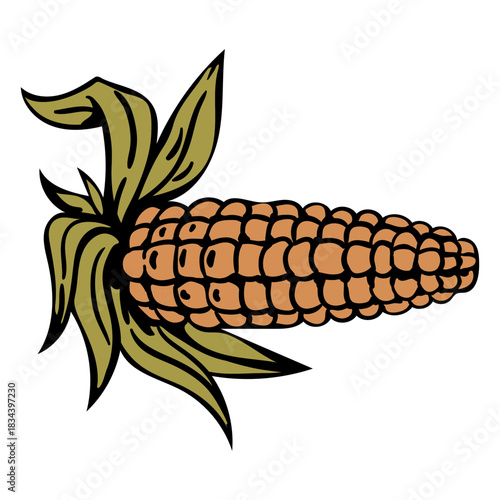 Hand drawn corncob husk thanksgiving