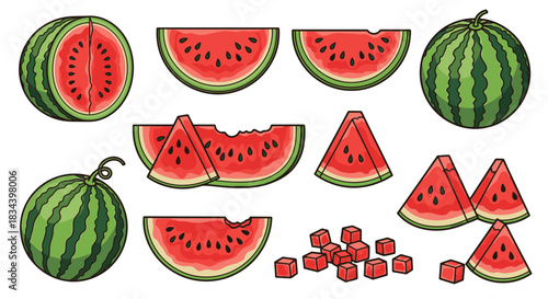 Colorful vector set of fresh watermelon in various forms whole, half, slice, wedge, and cubed pieces on a white background