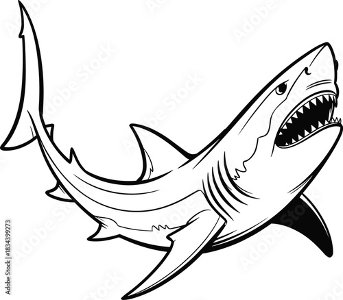 Ferocious great white shark illustration, aggressive ocean predator artwork, sharp teeth marine animal drawing, powerful underwater hunter vector design concept