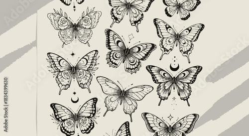 Elegant Butterfly Illustration Collection Intricate Designs for Art & Decor