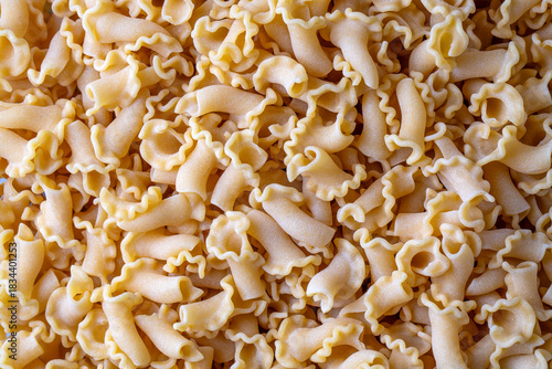 Uncooked raw Campanelle pas...