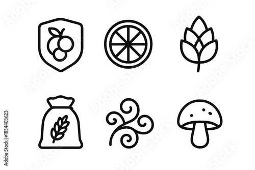 Flavor Profile Icons. Line style icons of flavor profiles: fruity taste badge, citrus zing icon, hoppy bitterness leaf, malty