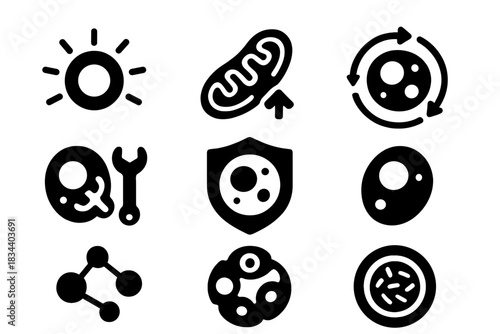 Cellular Rejuvenation Icons. Solid style icons of cellular rejuvenation: glowing cell icon, mitochondria boost symbol,
