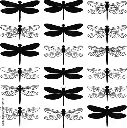 Pattern of dragonfly silhouettes and detailed outline drawings