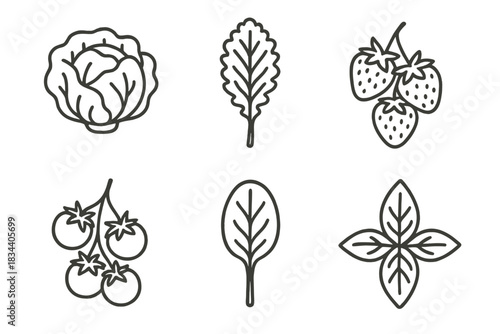Line Style Crop Icons. Line style icons of common crops: lettuce head, kale leaf, strawberry bunch, cherry tomato cluster, spinach