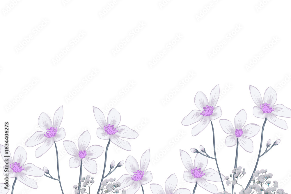 Naklejka premium Delicate white and purple flowers blooming against a stark black background