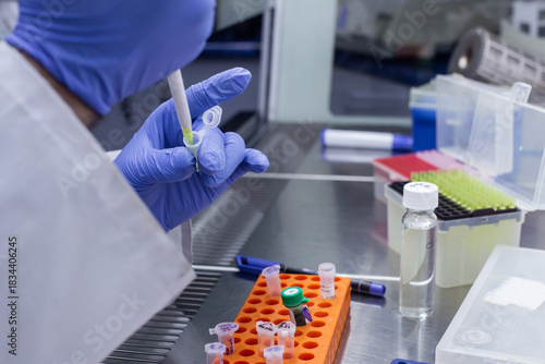 Working in a scientific laboratory under sterile conditions with molecular markers for human pathogens.