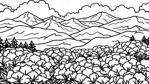 Very beautiful panoramic mountain fields filled with flowering pink rhododendrons beneath soft clouds, forming a colorful and refreshing highland landscape near the Carpathian region.
