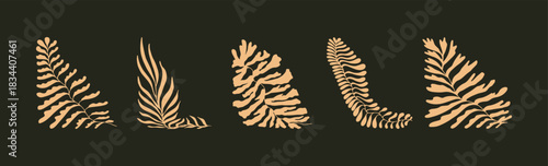 A set of abstract floral vector illustrations featuring stylized botanical leaves with organic wavy shapes. Modern hand-drawn tropical foliage silhouettes perfect for patterns, branding, packaging