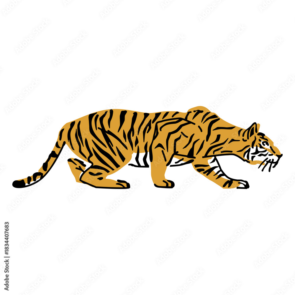 Obraz premium Lurking tiger hand drawn