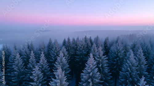 Aerial view of a frosty forest at dawn with a pink and purple sky