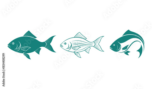 Three teal fish silhouettes and outlines on a white background Keywords: fish, seafood, aquatic, animal, marine life, swimming, silhouette, outline, line art, detailed, teal, blue-green, simple