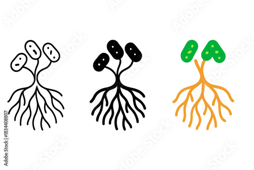 Abstract Symbiosis Icon. Abstract symbiosis icon with roots and bacterial nodes intertwined in harmony, first in line style with