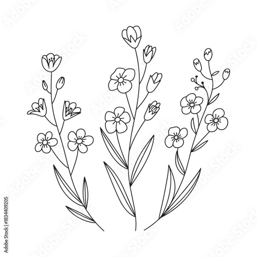 Foto Elegant Floral Sprigs Outline Vector Illustration Design