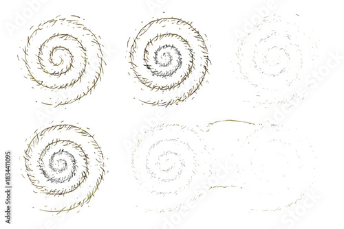 Spiral Inscription Icons. Line style icons of a fragile eddy of inscriptions: subtle spiral containing text-like lines, broken