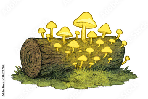 Bioluminescent Fungi Glow. Whimsical doodle forest log covered in glowing bioluminescent fungi, gentle light spilling into the