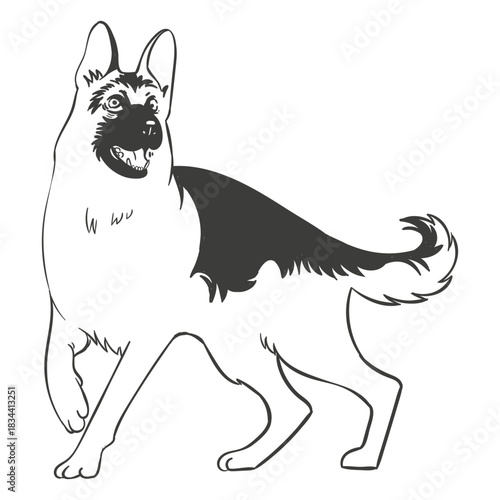 German shepherd dog hand drawn