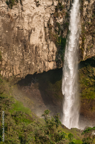 Waterfall amid the vegetation of cloud forests in the Colombian Andes, with the power of water falling between rocks and trees surrounded by the humidity of the environment.