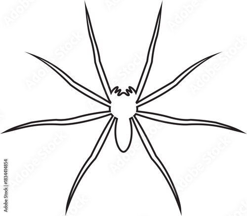 Spider vector illustration icon. Scary spider species and poses. Creepy arachnid icon for Halloween design. Black insect illustration isolated on transparent background.