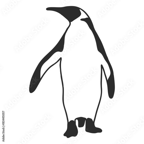 Bird penguin animal silhouette