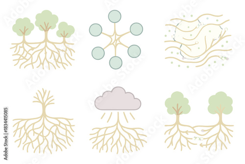 Root Communication Network. Isometric vector illustration set Underground tree root communication network: connected root matrix